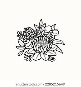 654 Australian Waratah Flower Images Stock Photos 3D Objects