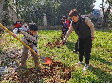 城乡添新绿 不负好春光 —— 我市推进造林绿化护一方生态富一方百姓 池州 新闻中心 长江网 Cjn Cn