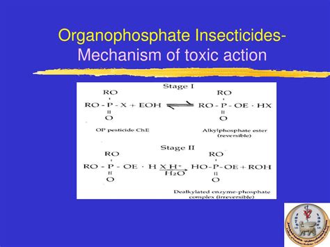 PPT Organophosphate Poisoning In Sheep PowerPoint Presentation Free