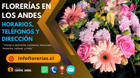 Florería en Los Andes Compra y envío de flores a domicilio con