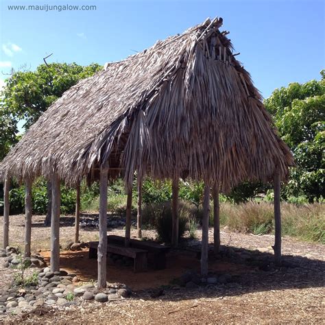 Maui Jungalow G Is For Grass Shacks And Grass Skirts