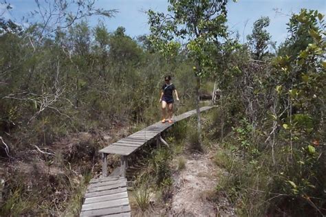 Parco Nazionale Di Bako Borneo Malesia Robix World