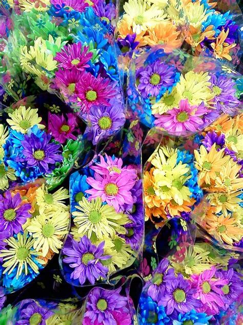 Rainbow Flower Bouquets | Rainbow flowers, Flowers bouquet, Colorful garden