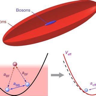 Observation of fermion-mediated interactions between bosonic atoms ...