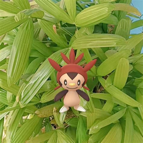 【ポケモンgo】ハリマロンの色違い、 入手方法と実装状況 攻略大百科