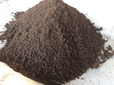 Powder Black Vermicompost Organic Fertilizer At Rs Kg In Jabalpur