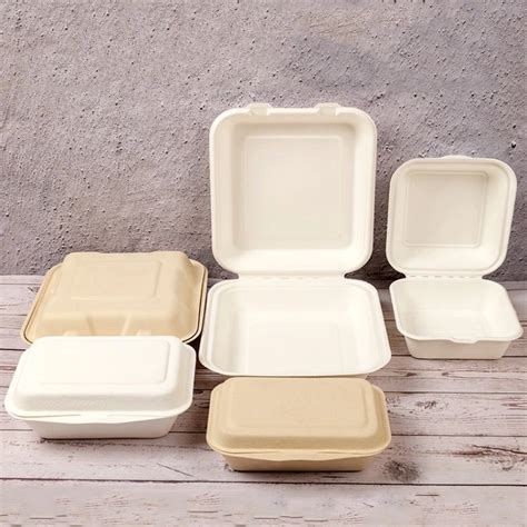 Disposable Packaging Biodegradable Food Bento Takeout Sugarcane Bagasse