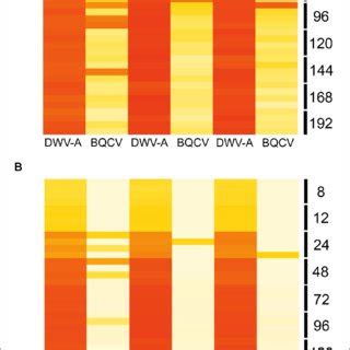 Heat Map Showing The Log Relative Viral Loads Of Dwv A In