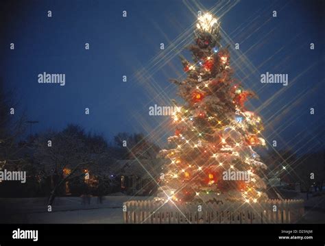 Outdoor Christmas Tree Stock Photo - Alamy