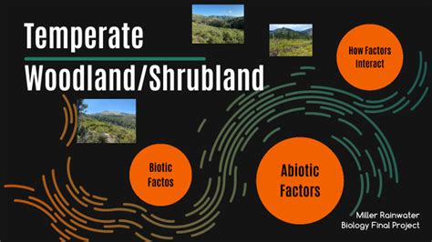 Biology Final Project: Temperate WoodLand/ Shrubland by Miller ...