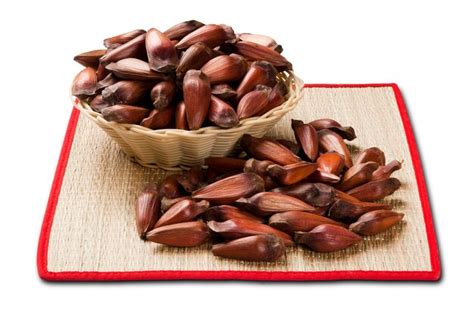 Premium Photo Brazilian Pine Nuts