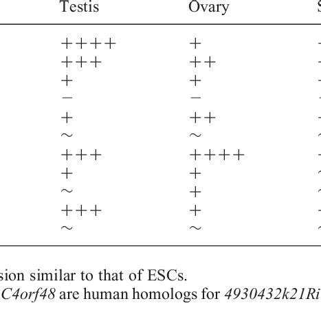 Expression of human homolog genes in different cell types | Download Table