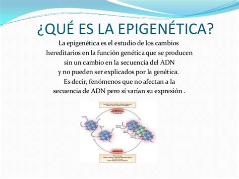 Epigenética y Nutrición Qué es Definición Utilidad Ejemplos Teoría