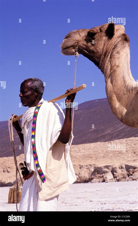 Djibouti Lake Assal Salt Caravan Stock Photo Alamy