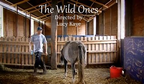 The Wild Ones - FILM FESTIVAL FLIX