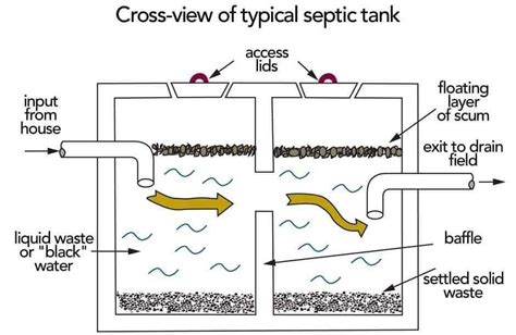 Septic Tank System Diagram | Septic tank systems, Septic tank, Liquid waste