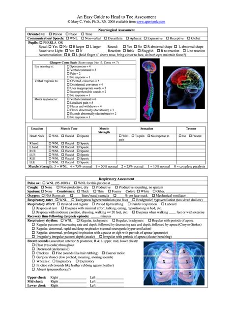 Head to toe assessment checklist pocket card - albumdon