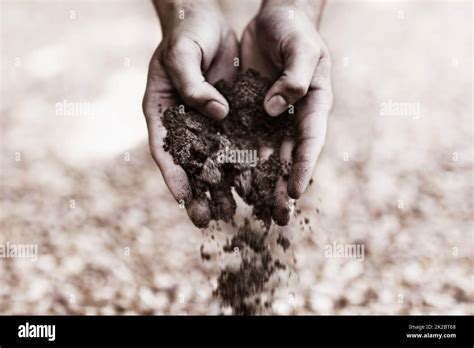 Returning The Earth Two Hands Holding Dirt Stock Photo Alamy