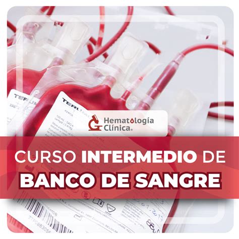 Curso intermedio de Banco de Sangre Agosto 2024 Hematología Clínica