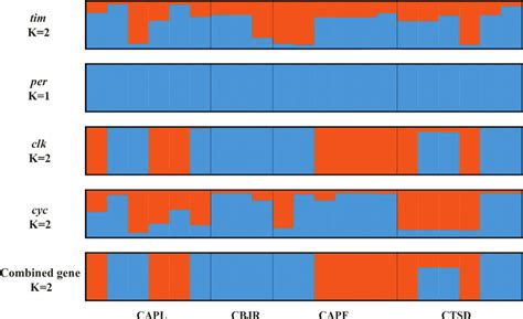 STRUCTURE bar plot for best K population of Timeless (tim), Period ...