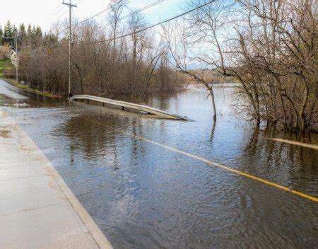 100 year floodplain map | Holt Flood Insurance