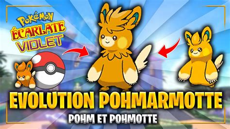 EVOLUTION de POHM POHMOTTE en POHMARMOTTE sur Pokémon ECARLATE VIOLET