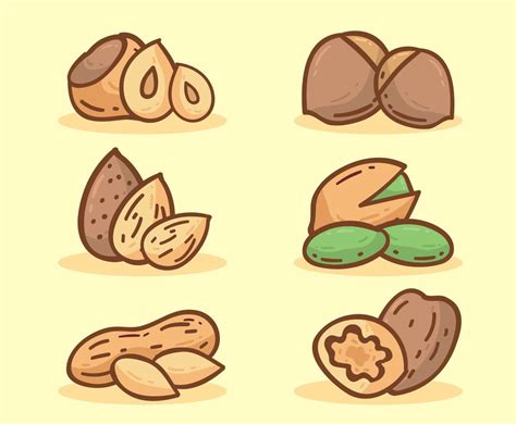 Hand Drawn Nuts Collection Vector Vector Art And Graphics