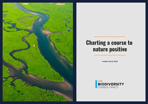 Charting A Course To Nature Positive The Biodiversity Consultancy