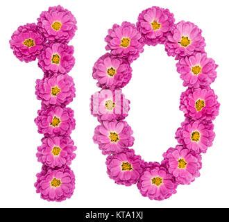 arabic numeral  ten  white flowers  chamomile isolated