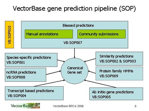 Vector Base Annotation Metrics Daniel Lawson Vector Baseebi