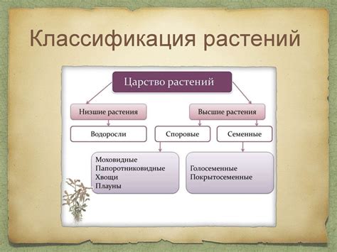 Царство Растений. Эволюция растений - online presentation
