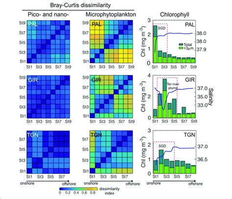 Examples Of Bray Curtis Dissimilarity Matrices For Pico And