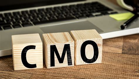 Cmo Guía Sobre El Liderazgo En Marketing Y Transformación Digital