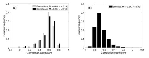 Comparison Of The Fluctuation Compliance And Stiffness Correlations