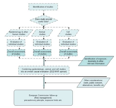 Chart Of Human Evaluation A Visual Reference Of Charts Chart Master