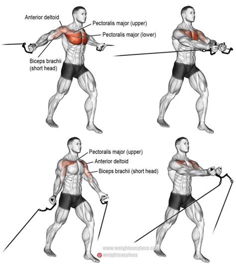 Chest Cable Flyes Cable Workout Chest Workouts Best Chest Workout