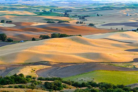 Aerial View Of Palouse Stock Photos, Pictures & Royalty-Free Images ...