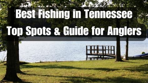 fishing  tennessee top spots  guide  anglers tackle box