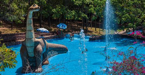 Arajara Park O Maior Parque Aqu Tico Do Interior Do Nordeste