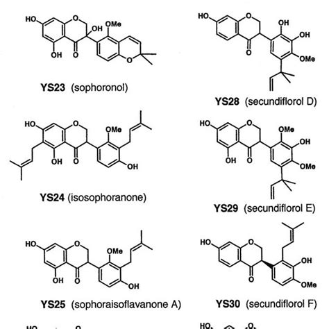 Structure of isoflavones and isoflavanones. | Download Scientific Diagram