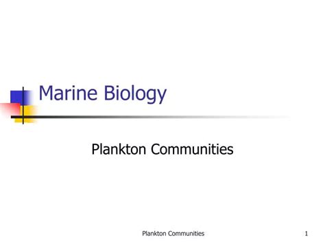 Ppt Marine Biology Powerpoint Presentation Free Download Id1447138