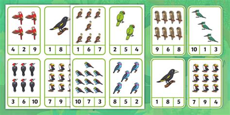 👉 Jungle Birds Peg Counting Teacher Made Twinkl