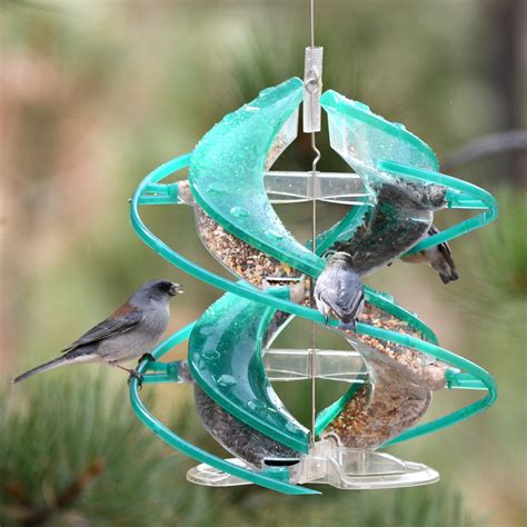 Songbird Seed Feeder Gallery Cascade Wild Bird Feeders