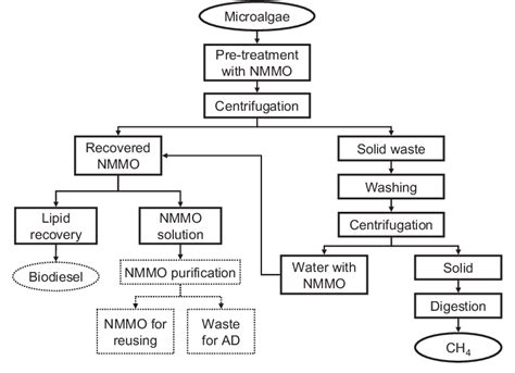 Scheme Of The Pre Treatment Process And The Uses Of The Different