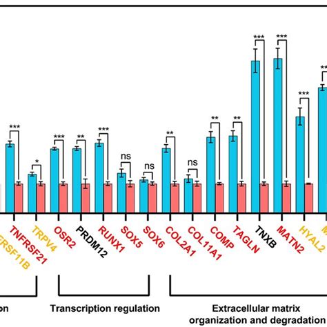 The Mrna Expression Level Of Differently Methylated Genes Were Measured