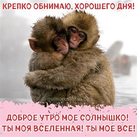 Доброе утро солнышко картинки и открытки скачать (ТОП 25)