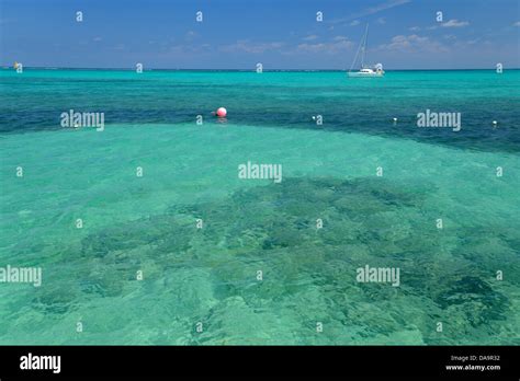 San Pedro Central America Belize Ambergris Caye Island Tropical