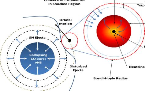 Induced Gravitational Collapse Scenario Download Scientific Diagram