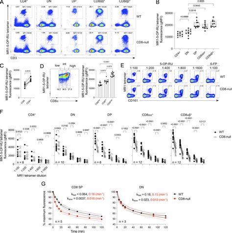 Cd Mr Interactions Enhance Mr Tetramer Binding To Mait Cells And