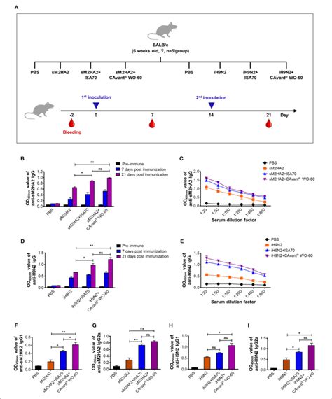 Evaluation Of The Antigen Specific Humoral Immune Response In Mice Download Scientific